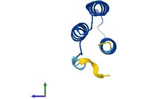 AlphaFold protein structure predicition of Human Recombinant LYRM9 Protein, UniprotID A8MSI8