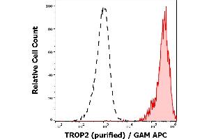 Separation of A431 cells (red-filled) from human peripheral whole blood cells (black-dashed) in flow cytometry analysis (surface staining) stained using anti-human TROP-2 (TrMab-6) purified antibody (concentration in sample 1,7 μg/mL, GAM APC). (TACSTD2 Antikörper)