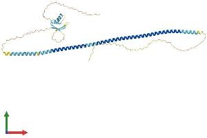 Protein Structure (PS) image for H1 Histone Family, Member N, Testis-Specific (H1FNT) (AA 1-398) protein (His tag) (ABIN7559392)