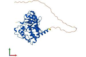 AlphaFold protein structure predicition of Human Recombinant CSNK2A3 Protein, UniprotID Q8NEV1