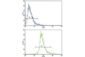Flow Cytometry (FACS) image for anti-Brain-Derived Neurotrophic Factor (BDNF) (AA 206-236) antibody (ABIN3030196)