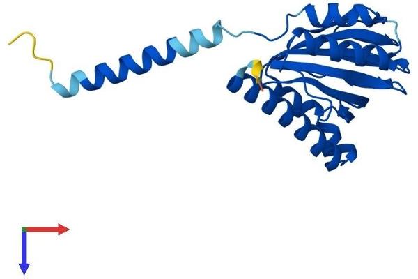 SIGMAR1 Protein (AA 1-223) (His tag)