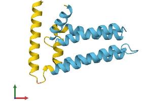 AlphaFold protein structure predicition of Human Recombinant SFT2D1 Protein, UniprotID Q8WV19