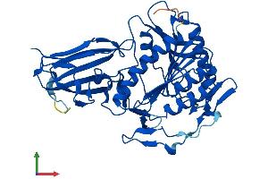 Protein Structure (PS) image for Acyl-Coenzyme A Amino Acid N-Acyltransferase 1 (ACNAT1) (AA 1-416) protein (His tag) (ABIN7561930)