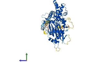 Protein Structure (PS) image for Inositol 1,3,4,5,6-Pentakisphosphate 2-Kinase (IPPK) (AA 1-491) protein (His tag) (ABIN7548519)