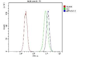 Flow Cytometry analysis of 293T cells using anti-AFF4 antibody (ABIN7603136). (AFF4 Antikörper  (N-Term))