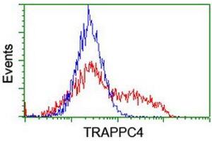 Image no. 2 for anti-Trafficking Protein Particle Complex 4 (TRAPPC4) antibody (ABIN1501264) (TRAPPC4 Antikörper)