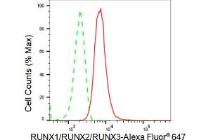 Flow cytometric analysis of RUNX1/RUNX2/RUNX3 expression in HT- cells using RUNX1/RUNX2/RUNX3 antibody (ABIN7800264), 1:2,000). (Rekombinanter RUNX1,RUNX2,RUNX3 Antikörper)