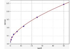 Typical standard curve (Fascin ELISA Kit)