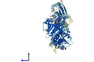 Protein Structure (PS) image for Schlafen Family Member 5 (SLFN5) (AA 1-884) protein (His tag) (ABIN7559230)