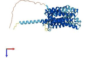 Chromosome 6 Open Reading Frame 192 (C6orf192) (AA 1-459) protein (His tag)