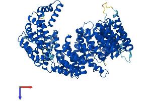 Transportin 3 Protein (TNPO3) (AA 1-923) (His tag)