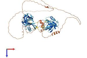 APBA3 Protein (AA 1-571) (His tag)