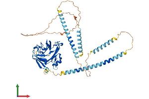Protein Structure (PS) image for Neuronal Pentraxin Receptor (NPTXR) (AA 1-493) protein (His tag) (ABIN7560303)