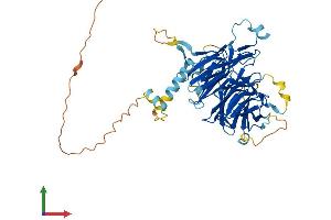 Protein Structure (PS) image for DDB1 and CUL4 Associated Factor 12-Like 2 (DCAF12L2) (AA 1-463) protein (His tag) (ABIN7546965)