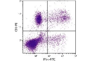 PMA and ionomycin stimulated human peripheral blood lymphocytes were stained with Mouse Anti-Human CD3-PE. (Interferon gamma Antikörper)