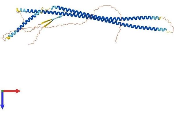 Keratin 27 (KRT27) (AA 1-459) protein (His tag)
