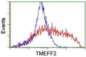 Image no. 2 for anti-Transmembrane Protein with EGF-Like and Two Follistatin-Like Domains 2 (TMEFF2) antibody (ABIN1501416) (TMEFF2 Antikörper)