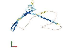 AlphaFold protein structure predicition of Mouse Recombinant Luc7l3 Protein, UniprotID Q5SUF2