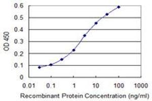 Detection limit for recombinant GST tagged CDX4 is 0. (CDX4 Antikörper  (AA 71-170))