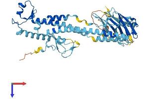 AlphaFold protein structure predicition of Mouse Recombinant Trim43a Protein, UniprotID Q3TL54