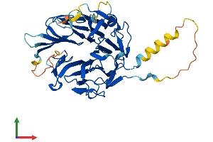 AlphaFold protein structure predicition of Human Recombinant RCCD1 Protein, UniprotID A6NED2