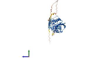 Protein Structure (PS) image for UDP-Gal:betaGlcNAc beta 1,4 Galactosyltransferase, Polypeptide 1 (B4GALT1) (AA 1-399) protein (His tag) (ABIN7562892)
