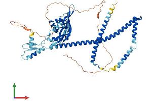 Protein Structure (PS) image for Nucleoporin 54kDa (NUP54) (AA 1-510) protein (His tag) (ABIN7558881)