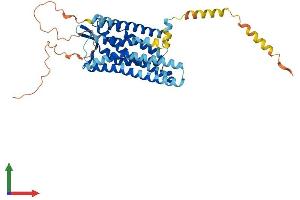 Protein Structure (PS) image for Opioid Receptor, mu 1 (OPRM1) (AA 1-400) protein (His tag) (ABIN7554846)