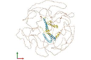Protein Structure (PS) image for Reticulon 4 (RTN4) (AA 1-1162) protein (His tag) (ABIN7564921)