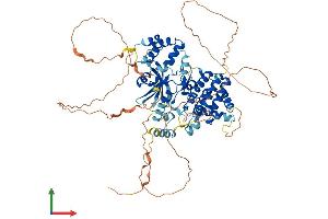 Protein Structure (PS) image for Interleukin-1 Receptor-Associated Kinase 1 (IRAK1) (AA 1-710) protein (His tag) (ABIN7563963)