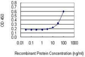 Detection limit for recombinant GST tagged FBXO5 is 3 ng/ml as a capture antibody. (FBXO5 Antikörper  (AA 358-446))