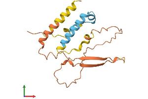 AlphaFold protein structure predicition of Human Recombinant KRBOX4 Protein, UniprotID Q5JUW0