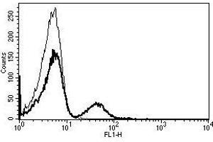 A typical staining pattern with the B-C3 monoclonal antibody of lymphocytes (CD19 Antikörper)