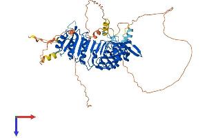 AlphaFold protein structure predicition of Mouse Recombinant Lrrc71 Protein, UniprotID Q9D3W5