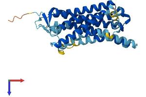 OR5P3 Protein (AA 1-311) (His tag)