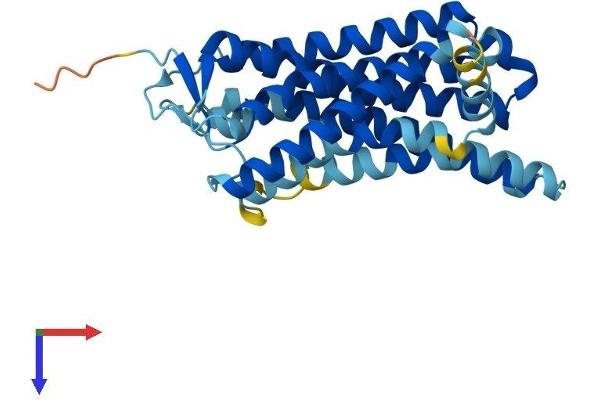 OR5P3 Protein (AA 1-311) (His tag)