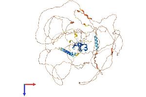RNF111 Protein (AA 1-989) (His tag)