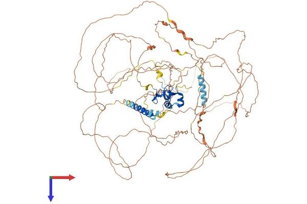 RNF111 Protein (AA 1-989) (His tag)