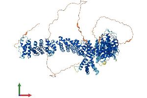 AlphaFold protein structure predicition of Human Recombinant PDS5A Protein, UniprotID Q29RF7