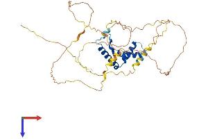 TCF7 Protein (AA 1-384) (His tag)