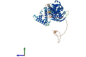 AlphaFold protein structure predicition of Human Recombinant STAT5A Protein, UniprotID P42229
