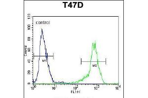 Flow cytometric analysis of T47D cells (right histogram) compared to a negative control cell (left histogram). (SIAH2 Antikörper  (AA 216-244))
