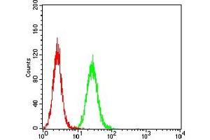 Flow Cytometry (FACS) image for anti-Glutamate-Ammonia Ligase (GLUL) (AA 2-121) antibody (ABIN7193662)