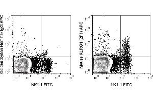 C57Bl/6 splenocytes were stained with FITC Anti-Mouse NK1.