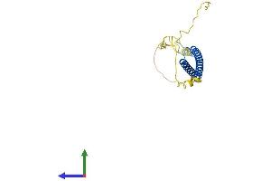 Protein Structure (PS) image for MAX Dimerization Protein 3 (MXD3) (AA 1-206) protein (His tag) (ABIN7558340)