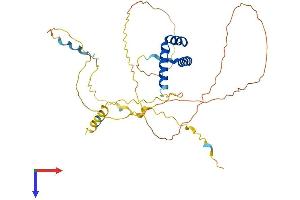 GBX2 Protein (AA 1-348) (His tag)