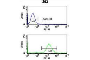 SMNDC1 Antibody (N-term) flow cytometry analysis of 293 cells (bottom histogram) compared to a negative control cell (top histogram). (SMNDC1 Antikörper  (N-Term))