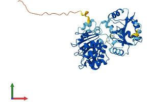 Protein Structure (PS) image for Eukaryotic Translation Initiation Factor 4A3 (EIF4A3) (AA 1-411) protein (His tag) (ABIN7564782)