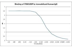 ELISA image for Goat anti-Human IgG (Chain gamma) antibody (HRP) (ABIN2474405) (Ziege anti-Human IgG (Chain gamma) Antikörper (HRP))